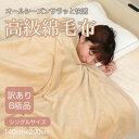 【ふるさと納税】【訳あり】 綿毛布 ベージュ シングル コットン100% 天然素材 シール織 140cm×200cm【1512509】