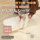 【ふるさと納税】【訳あり】【2枚セット】 シーツ 敷毛布 かんたんシーツ シングル 綿100% アイボリー×キャメル【1523690】