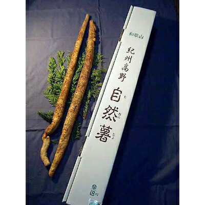 紀州山里の珍味自然薯 約900g〜1kg