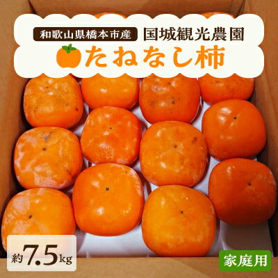 国城観光農園 の たねなし柿 ( 家庭用 ・ 訳あり ) 約7.5kg _ 果物 フルーツ くだもの 柿 かき 種無し 種なし 和歌山 人気 送料無料 【1143474】