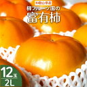 【ふるさと納税】柳フルーツ園の富有柿【配送不可地域:離島】【1021101】