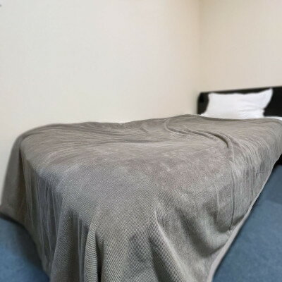 【ふるさと納税】活生綿モノトーン毛布 ライトグレー【1182882】