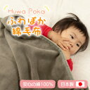 【ふるさと納税】ふわぽか 綿毛布 オリーブ 100×140cm 日本製 綿100% 毛布【1606192】