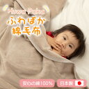 【ふるさと納税】ふわぽか 綿毛布 ミルクティベージュ 100×140cm 日本製 綿100% 毛布【1606194】