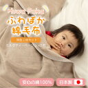 【ふるさと納税】【同色2枚セット】ふわぽか 綿毛布 ミルクティベージュ 100×140cm 日本製 綿100% 毛布【1606568】
