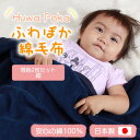 【ふるさと納税】【同色2枚セット】ふわぽか 綿毛布 紺 100×140cm 日本製 綿100% 毛布【1607527】