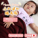 【ふるさと納税】【同色2枚セット】ふわぽか 綿毛布 エンジ 100×140cm 日本製 綿100% 毛布【1607530】