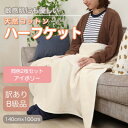 【ふるさと納税】【訳あり】【同色2枚セット】 ひざ掛け アイボリー 大判 ハーフケット 毛布 コットン100%【1607534】