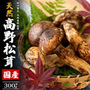 【ふるさと納税】国産 天然高野松茸 約300g【配送不可地域:離島・北海道・沖縄県】【1608329】