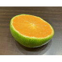 【ふるさと納税】和歌山県産温州みかん YN26【1642339】