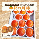 【ふるさと納税】国城観光農園の紀の川柿11〜12個(2L〜3Lサイズ)_ 果物 くだもの フルーツ 柿 かき 和歌山 人気 送料無料 【1077105】