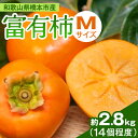 【ふるさと納税】ケーズファーム 富有柿 M 14個程度(約2.8kg)_ 柿 富有柿 果物 フルーツ くだもの ふるーつ 青果 国産 和歌山 かき 人気 送料無料 産地直送 甘い 家庭用 Mサイズ デザート 産直 秋の味覚 旬 カキ 【1135662】
