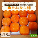 【ふるさと納税】国城観光農園のたねなし柿(家庭用・訳あり)約7.5kg_ 果物 フルーツ くだもの 柿 かき 種無し 種なし くだもの ふるーつ 和歌山 人気 ...