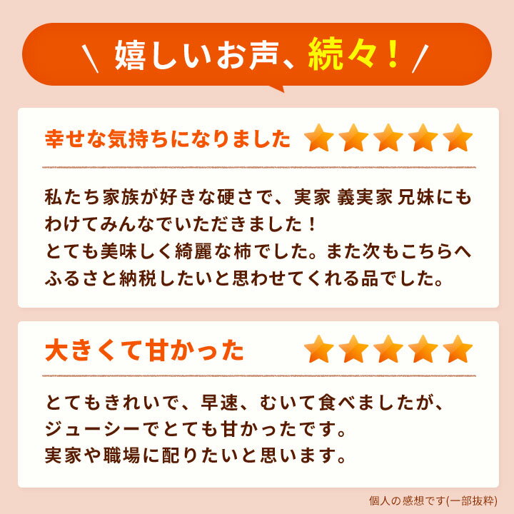 【ふるさと納税】【令和6年度 先行予約】柿 カテゴリ上位獲得! JA紀北 かわかみの たねなし柿 7.5kg L又は2L _ 果物 フルーツ 国産 和歌山 かき 種無し 種なし 人気 送料無料 【1237822】