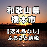 楽天ふるさと納税　【ふるさと納税】和歌山県橋本市への寄付（返礼品はありません）