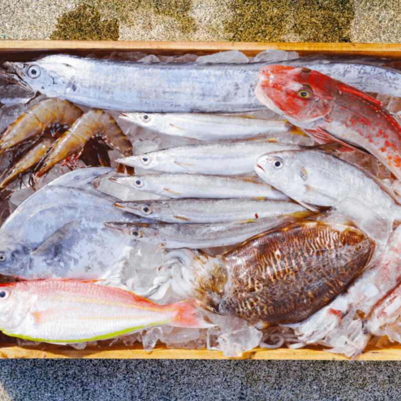 【ふるさと納税】漁師の鮮魚箱(約3kg)(A889-2)