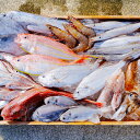【ふるさと納税】漁師の鮮魚箱(約4kg)(A890-2)(4)