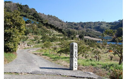 語り部と歩きたび★熊野古道★時さかのぼるありだ【完歩証付き】(A220-1)