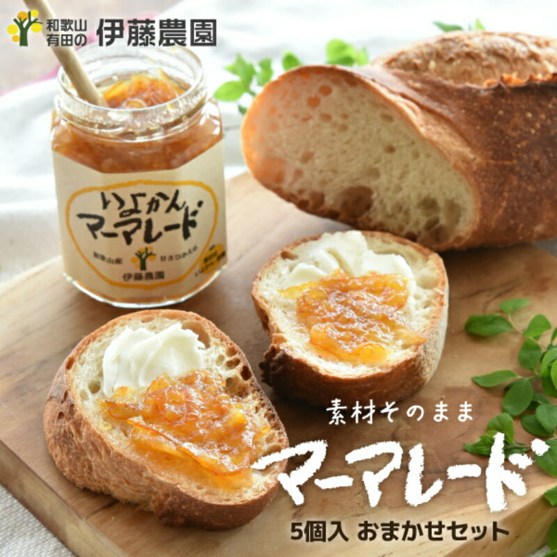 【ふるさと納税】伊藤農園のおまかせマーマレード5個セット(A192-1)