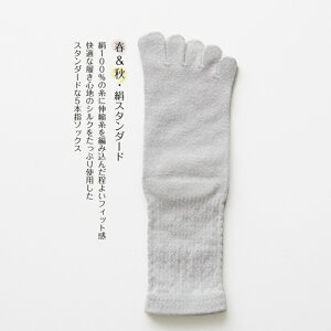 【ふるさと納税】5本指ソックス春夏秋冬セット(22-24cm)(A422-1)