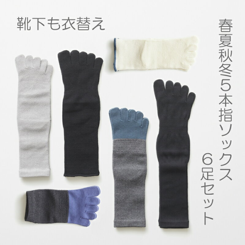 楽天和歌山県有田市【ふるさと納税】5本指ソックス春夏秋冬セット（25-27cm）（A423-1）