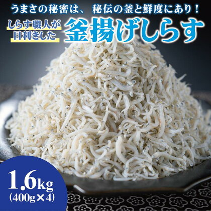 しらす職人が目利きした「釜揚げしらす」1.6kg(A535-1)