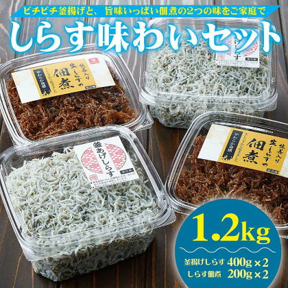 しらす味わいセット（釜揚げしらす・しらすの佃煮）1.2kg(A536-1)