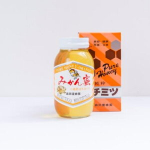 【ふるさと納税】国産純粋はちみつ(みかん蜜) 1.2kg(A14-1)