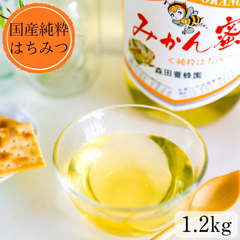【ふるさと納税】 国産純粋はちみつ(みかん蜜) 600g〜2kg 送料無料 有田産 柑橘蜜 甘く上品な味わい 人気レビュー多数 パン・ヨーグルトに最適 ギフト 贈答用 和歌山特産品 和歌山県有田市 (A14-1)