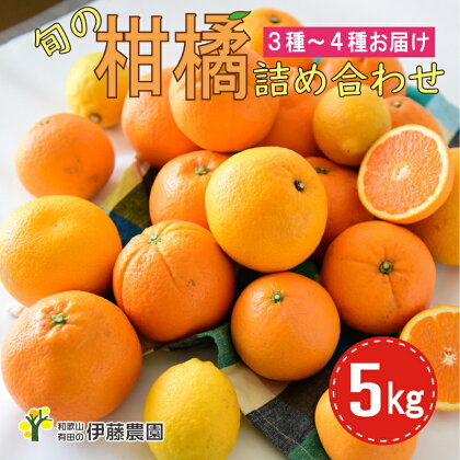 特選 旬の柑橘詰め合わせ 5kg（A882-1）