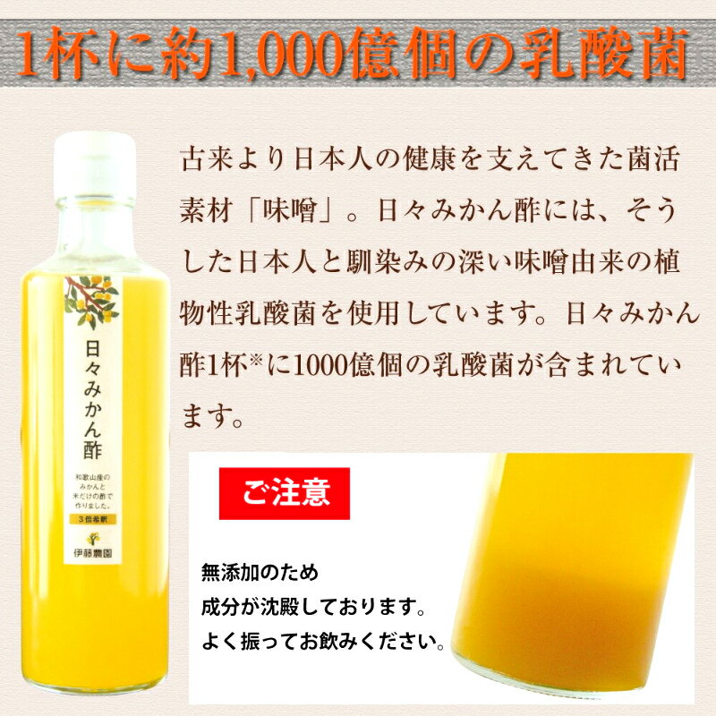 【ふるさと納税】伊藤農園の日々みかん酢8本入りセット(A500-2)