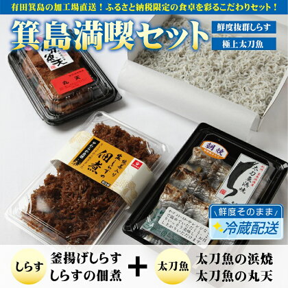 しらす・太刀魚 箕島満喫セット(A549-1)太刀魚 太刀魚天 釜揚げしらす 佃煮 浜焼き おつまみ 肴 お父さん 西村物産 有田市