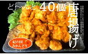 【ふるさと納税】　紀の国みかんどり　特選唐揚げ40個セット(A582-1)