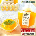 【ふるさと納税】【定期便】伊藤農園寒天ジュレドリンクタイプ(A658-1)12個セット(3ヶ月お届け)みかん ミカン 蜜柑 有田みかん 有田ミカン 有田蜜柑 ありだみかん 和歌山県 有田市 フルーツ 果物 くだもの みかん加工品 飲むゼリー ゼリー飲料