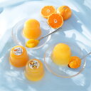 【ふるさと納税】有田みかんゼリー食べ比べセット12個入り(A681-1)