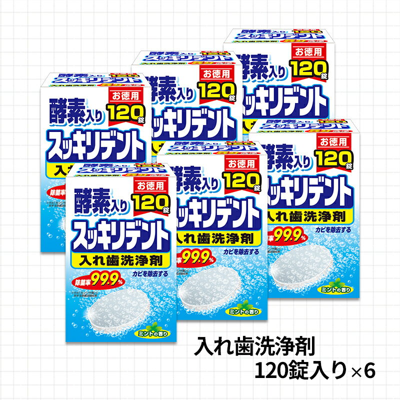 【ふるさと納税】入れ歯洗浄剤セット(A885-1)