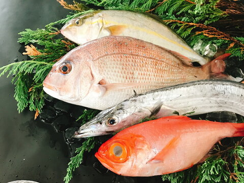 【ふるさと納税】太刀魚と旬の魚セット