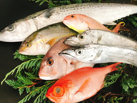 【ふるさと納税】太刀魚と旬の魚の大盛セット