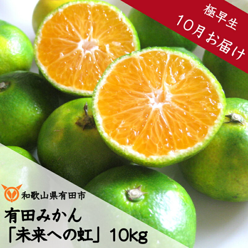 ◇10月お届け◇厳選 有田みかん「未来への虹」10kg(A233-1)送料無料 産地直送 フルーツ 果物 本場 和歌山 有田 有田市 ありだ みかん 甘酸っぱい 甘い 酸味 濃厚 凝縮 コク ジューシー 極早生(ごくわせ) ふるさと 応援 寄附 先行予約