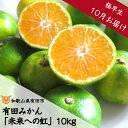 【ふるさと納税】◇10月お届け◇厳選 有田みかん「未来への虹」10kg(A233-1)送料無料 産地直送 フルーツ 果物 本場 和…