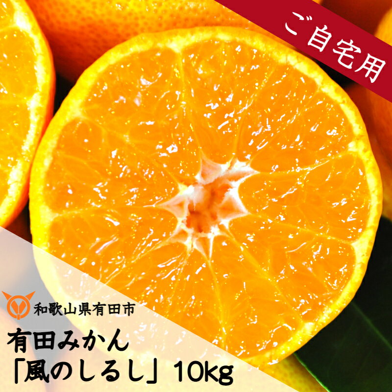 【ふるさと納税】有田みかん「風のしるし」訳あり 訳アリ 10kg 送料無料 産地直送 ご自宅用 ご家庭用 フルーツ 果物 本場 和歌山 有田 有田市 ありだ みかん 甘い 濃厚 コク ジューシー S M L s m l 先行予約