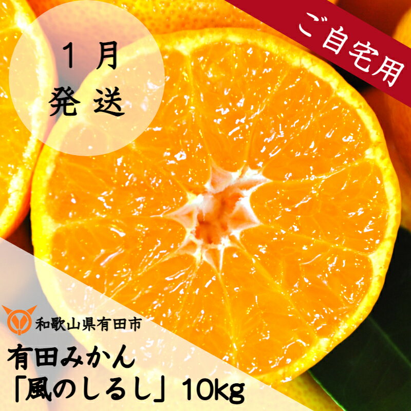 【ふるさと納税】★1月配送★有田みかん「風のしるし」10kg （A443-1）送料無料 産地直送 ご自宅用 ご家庭用 訳ありのサムネイル