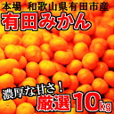 【ふるさと納税】厳選 有田みかん「未来への虹」10kg 送料無料 産地直送 (旧名称)有田みかんてんこ盛り