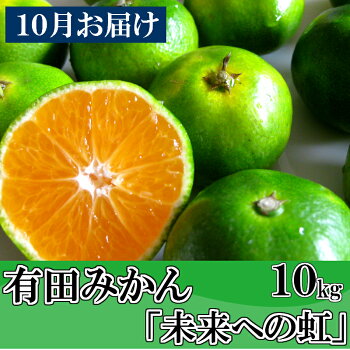 【ふるさと納税】◇10月お届け◇厳選有田みかん「未来への虹」10kg送料無料産地直送(旧名称)有田みかんてんこ盛り