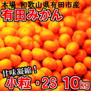 【ふるさと納税】小粒・2S 有田みかん「未来への虹」10kg...