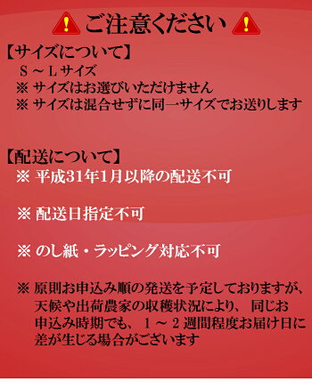 【ふるさと納税】送料無料有田市認定みかん(5kg)産地直送和歌山県有田みかん