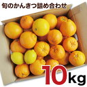 14位! 口コミ数「49件」評価「3.96」訳アリ 旬のかんきつ詰め合わせ 10kg（A145-1）