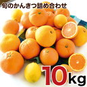 29位! 口コミ数「1件」評価「5」特選 旬のかんきつ詰め合わせ 10kg（A156-1）