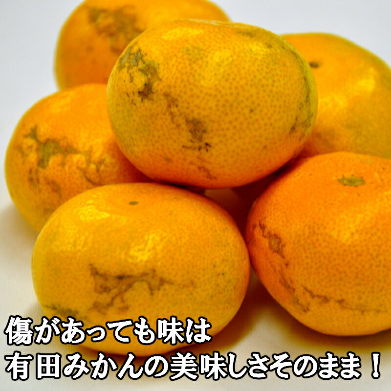 【ふるさと納税】有田みかん「風のしるし」訳あり 訳アリ 10kg 送料無料 産地直送 ご自宅用 ご家庭用 フルーツ 果物 本場 和歌山 有田 有田市 ありだ みかん 甘い 濃厚 コク ジューシー S M L s m l 先行予約