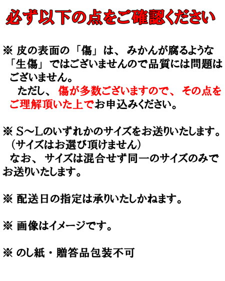 【ふるさと納税】有田みかんてんこ盛り